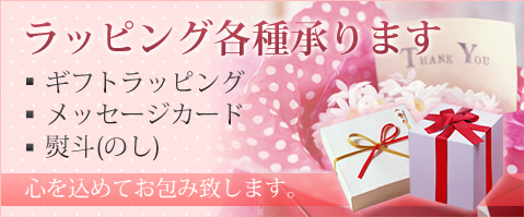 贈物ギフト包装ラッピング・熨斗(のし紙)も、無料サービス！